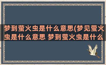 梦到萤火虫是什么意思(梦见萤火虫是什么意思 梦到萤火虫是什么预兆)